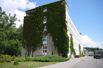 Road along buildings