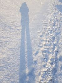 Shadow of person on snow