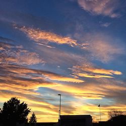 Low angle view of trees against sky at sunset