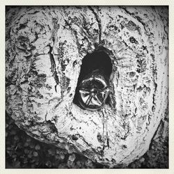 Close-up of old building