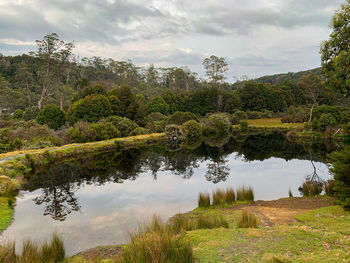 Scenic view of lake by trees against sky