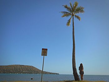 Woman standing by palm tree at beach against sky