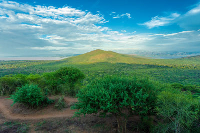 Scenic view of landscape against sky