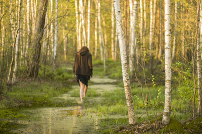 Rear view of woman walking in swamp against trees at forest