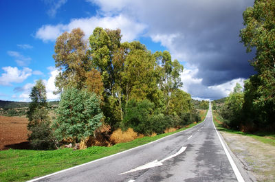 Empty road amidst trees against sky