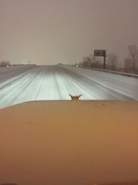 Car on road at sunset