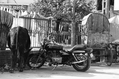 Motor scooter parked in front of building