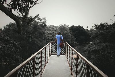 Rear view of man on railing against trees