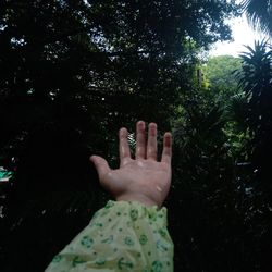 Cropped image of person against plants