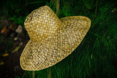 Close-up of hat on field