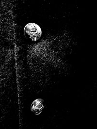 Close-up of water in the dark