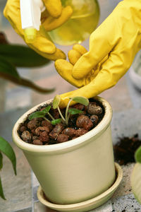 Cropped hand of woman holding potted plant