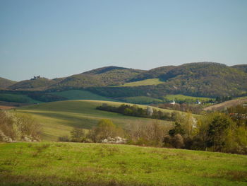 Scenic view of field against clear sky