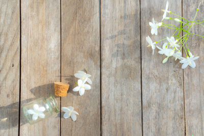 Directly above shot of white flower on table