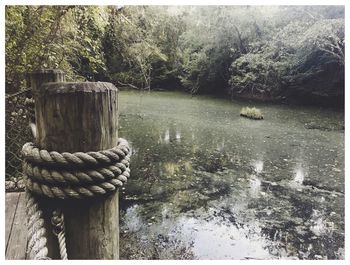 Close-up of rope tied on wooden post