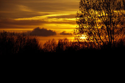 Silhouette trees on landscape against sky at sunset