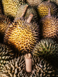 Full frame shot of durian 