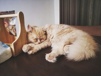 Cat sleeping on table at home