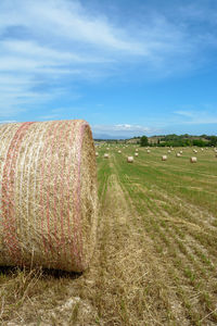 Hay bales on field against sky