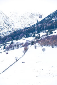 Scenic view of snow covered mountains against sky