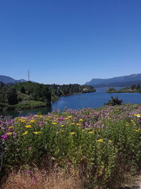 Scenic view of landscape and mountains against clear blue sky