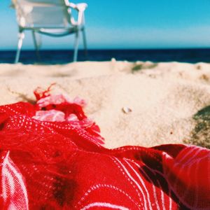 Close-up of red rose on beach against sky