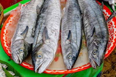 High angle view of fish for sale at market