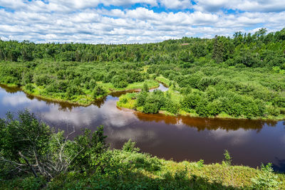 Scenic view of lake in forest against sky