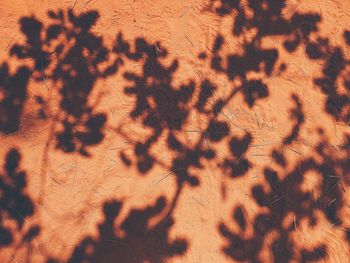 High angle view of shadow on street