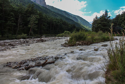 Scenic view of river stream amidst trees against sky