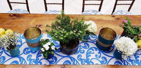 High angle view of potted plants on table