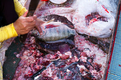 Man holding fish for sale at market