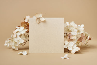 High angle view of flowers on table