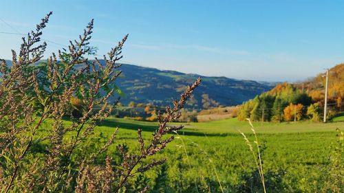 Scenic view of landscape against sky