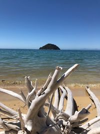Driftwood on beach against clear sky