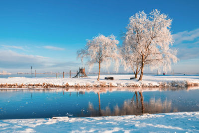 Bare tree by lake against sky