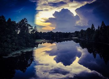 Reflection of trees in calm lake