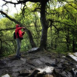 Woman standing on tree trunk in forest