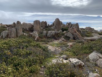 Rock formations on landscape against sky - the pinnacles, mount wellington