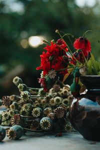 Close-up of red flower vase on table