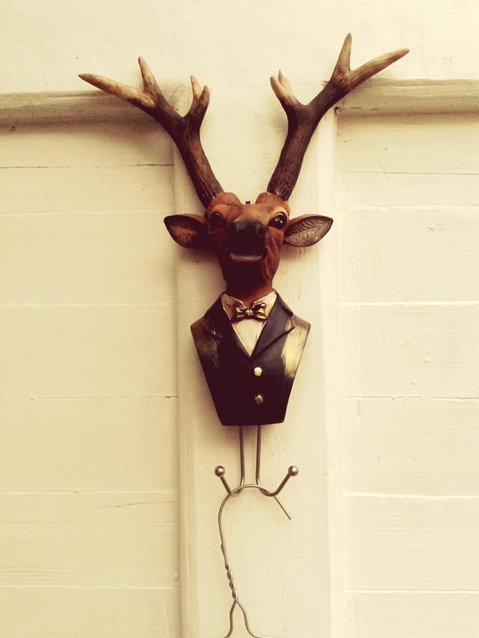 indoors, wall - building feature, close-up, wood - material, wall, old, animal themes, no people, insect, wooden, day, one animal, brown, hanging, wildlife, built structure, table, door, abandoned