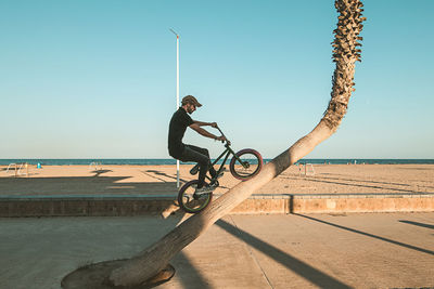 Side view full length of man doing stunt with bicycle by beach on tree