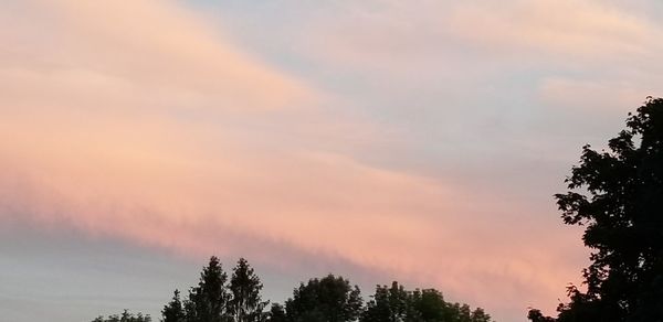 Low angle view of silhouette trees against sky during sunset