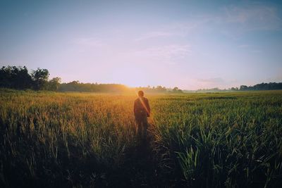 Scenic view of field against sky during sunset