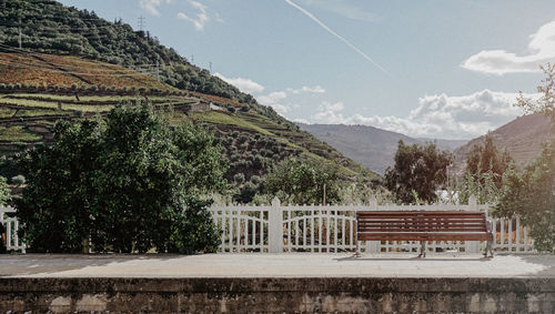 Scenic view of tree by building against sky