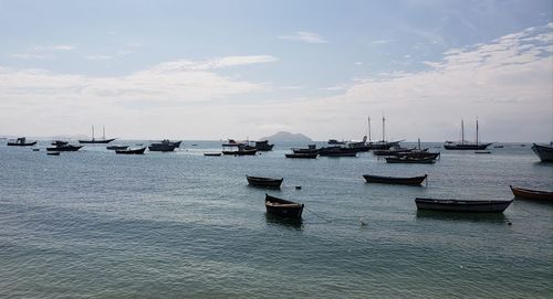 Sailboats moored in harbor