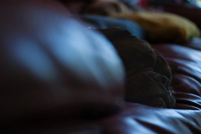 Low section of man relaxing at home