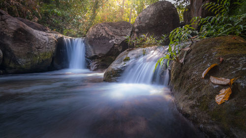 Scenic view of waterfall in forest