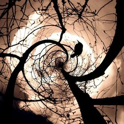 Low angle view of bare trees against sky