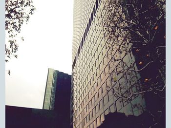 Low angle view of modern building